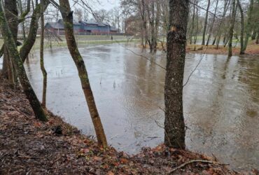 Šyša. R. Lekavičiaus nuotr.