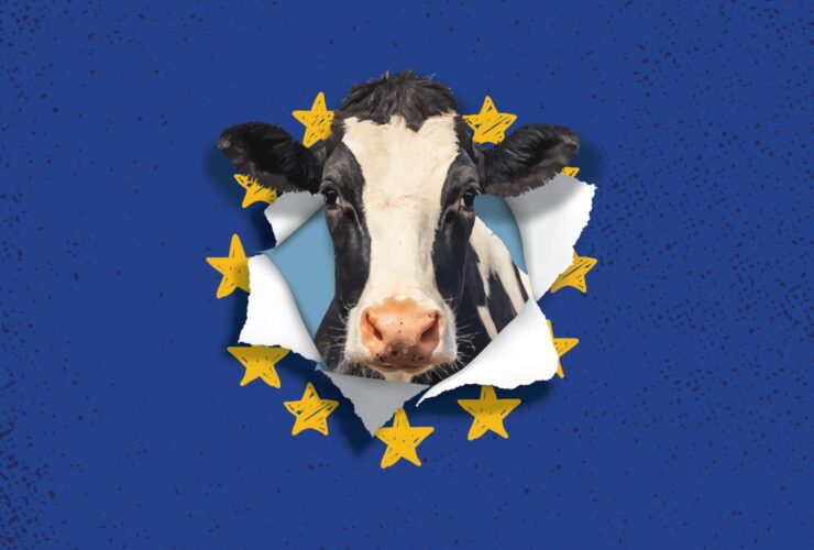 žemės ūkis, pienas, pienininkystė